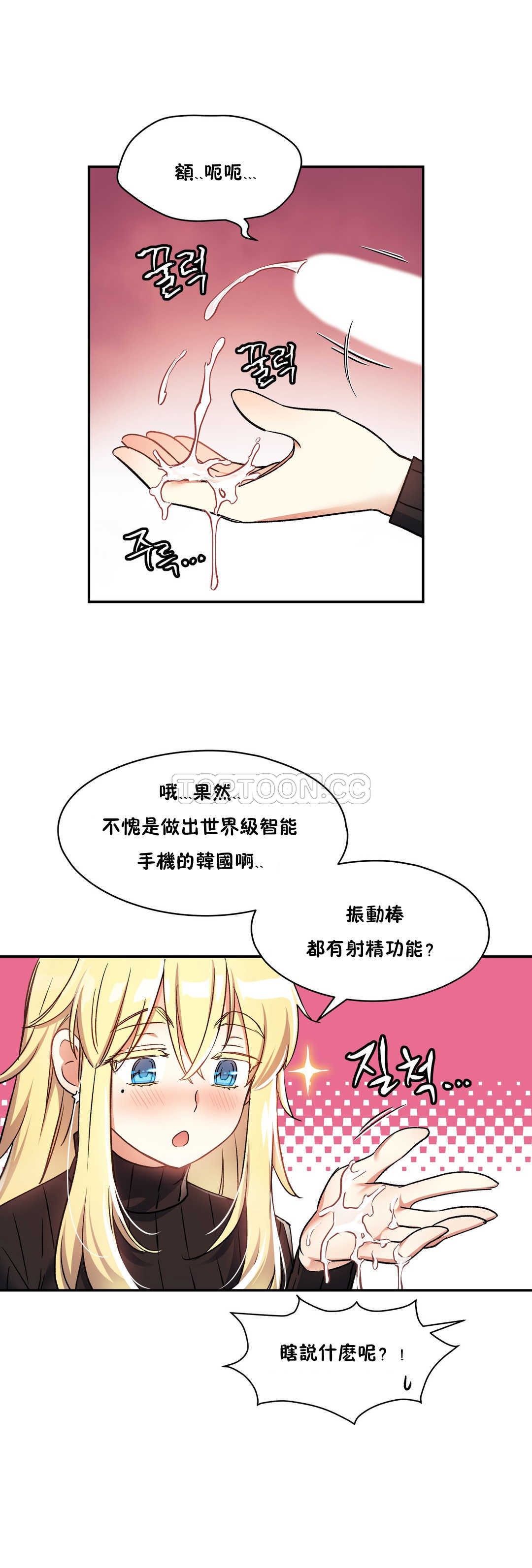 初恋豚鼠
