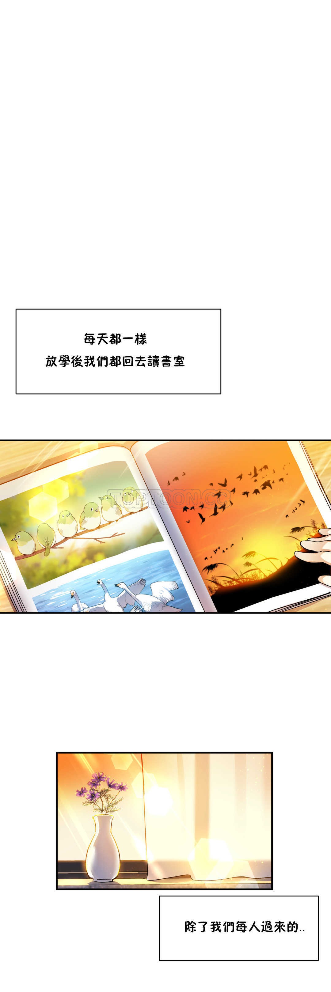 初恋豚鼠