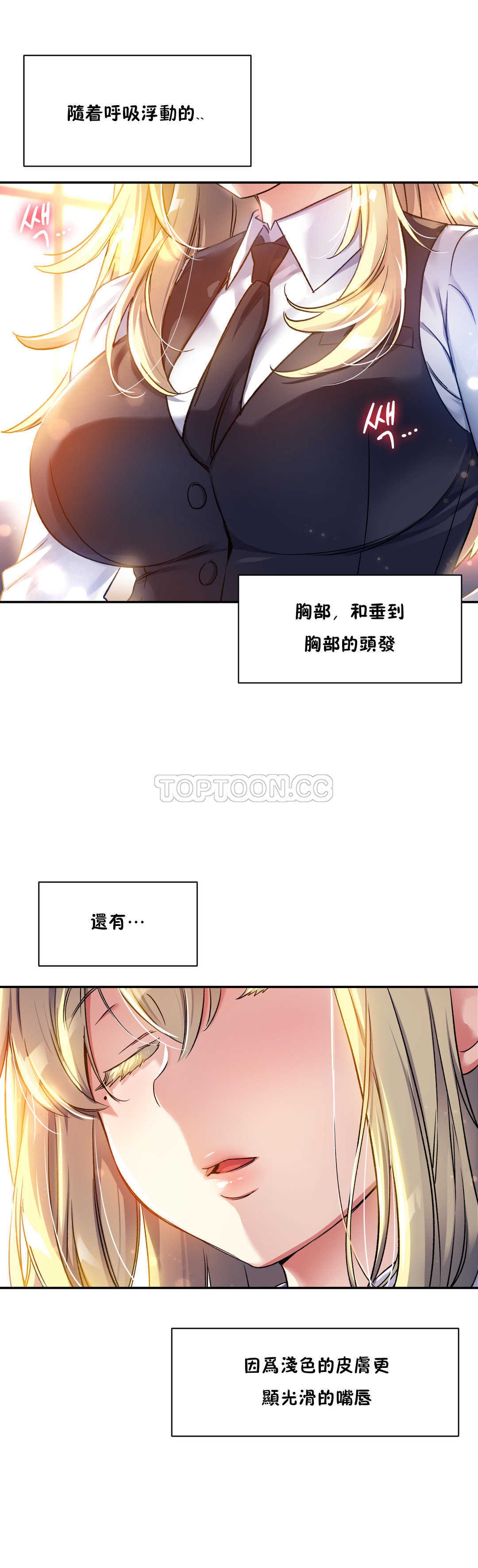 初恋豚鼠