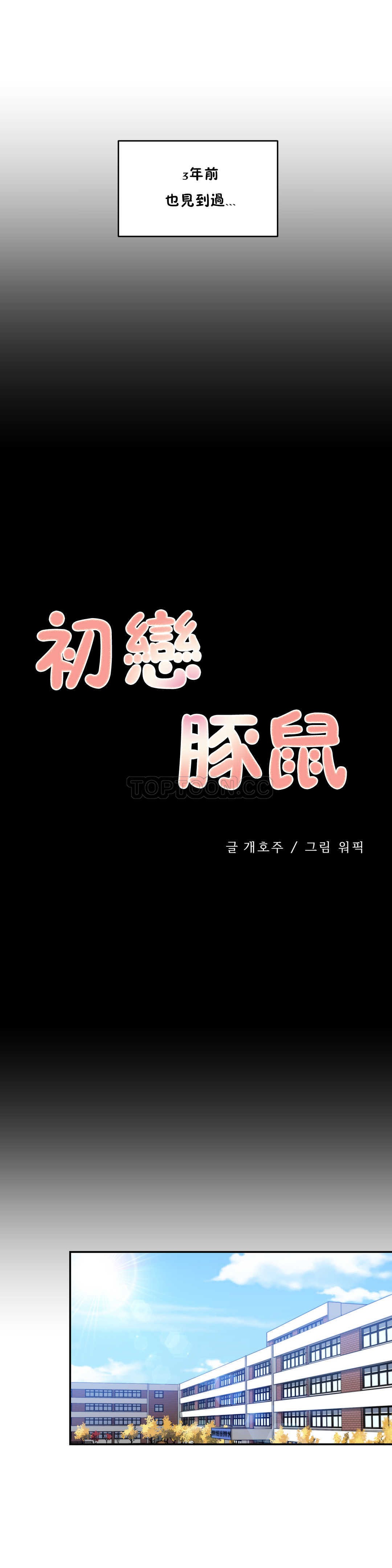 初恋豚鼠