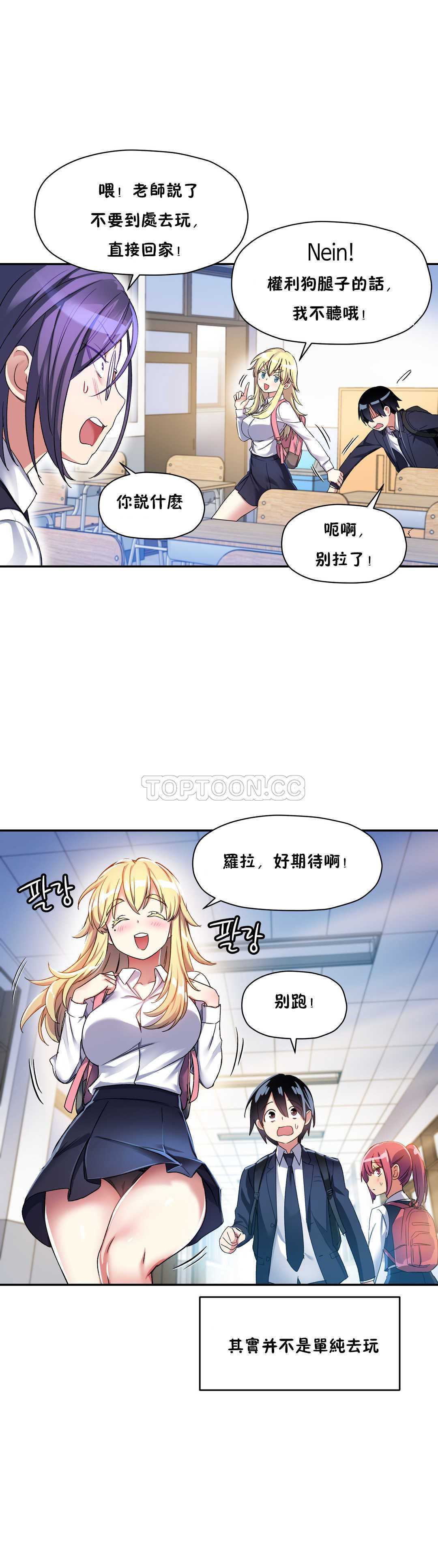 初恋豚鼠