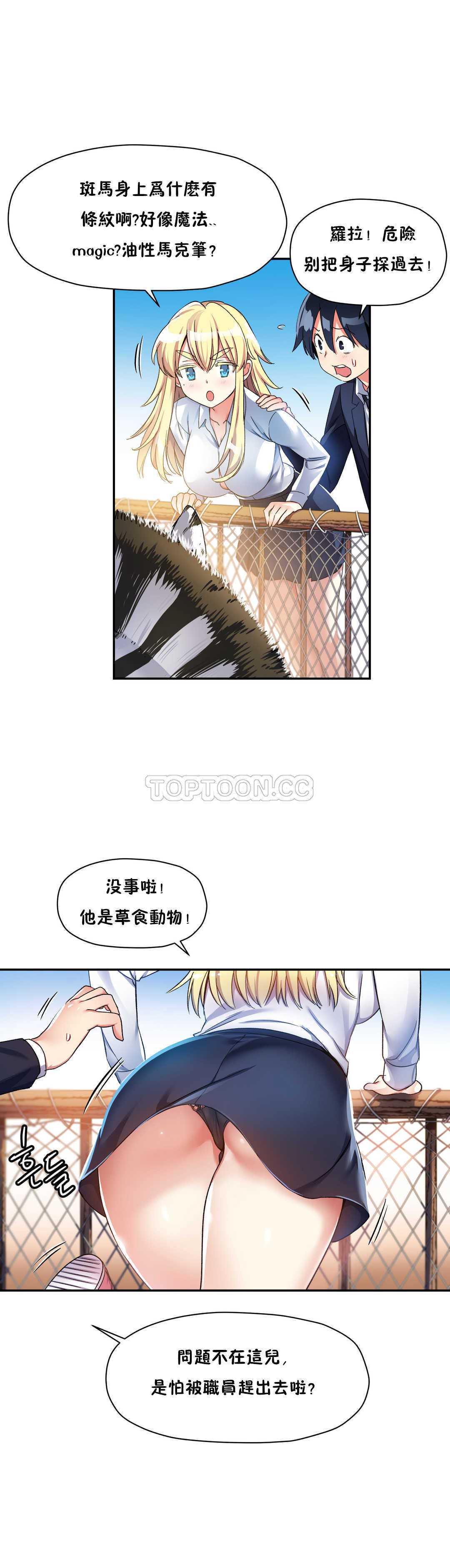初恋豚鼠