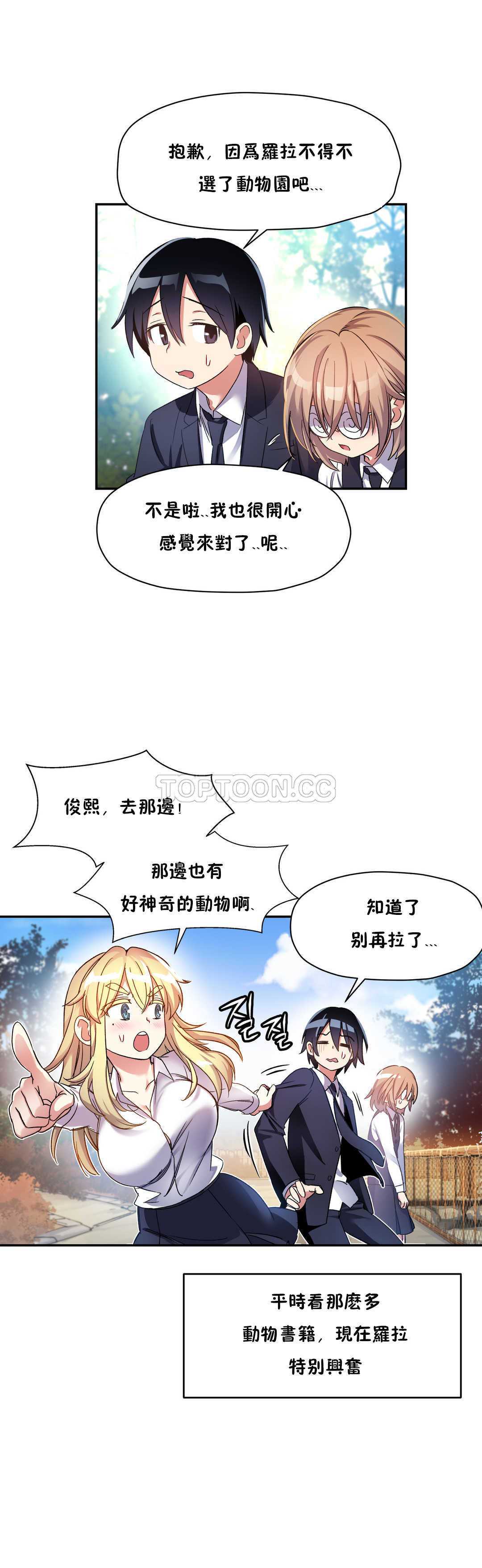 初恋豚鼠