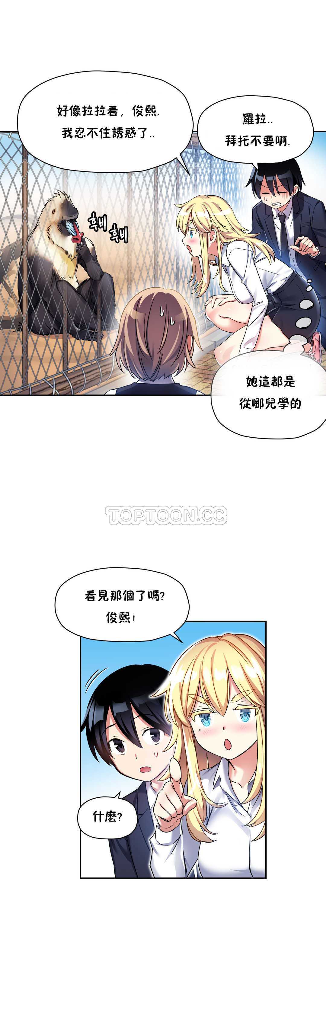 初恋豚鼠