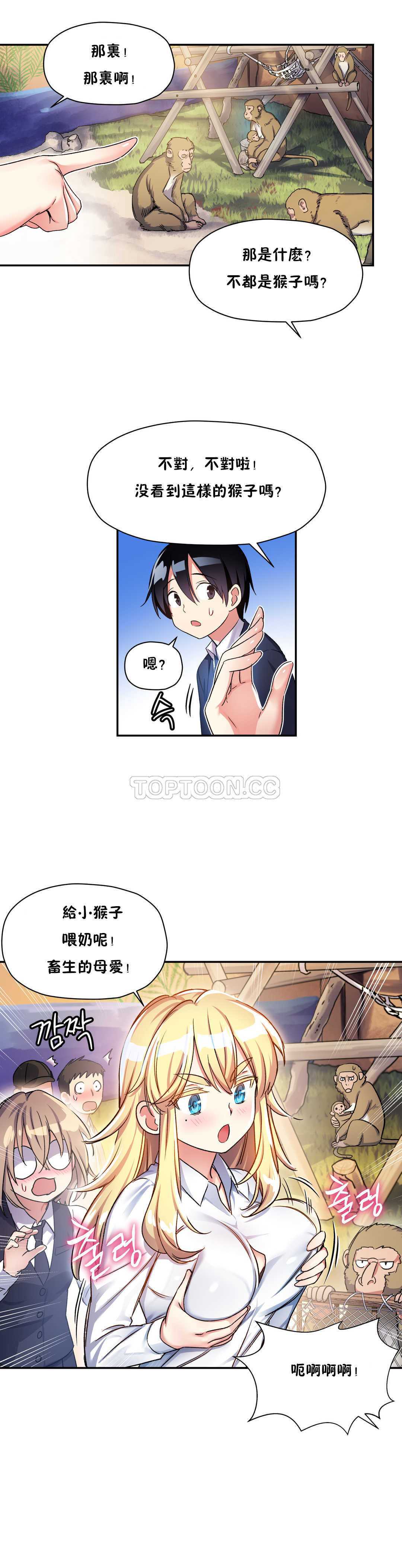 初恋豚鼠