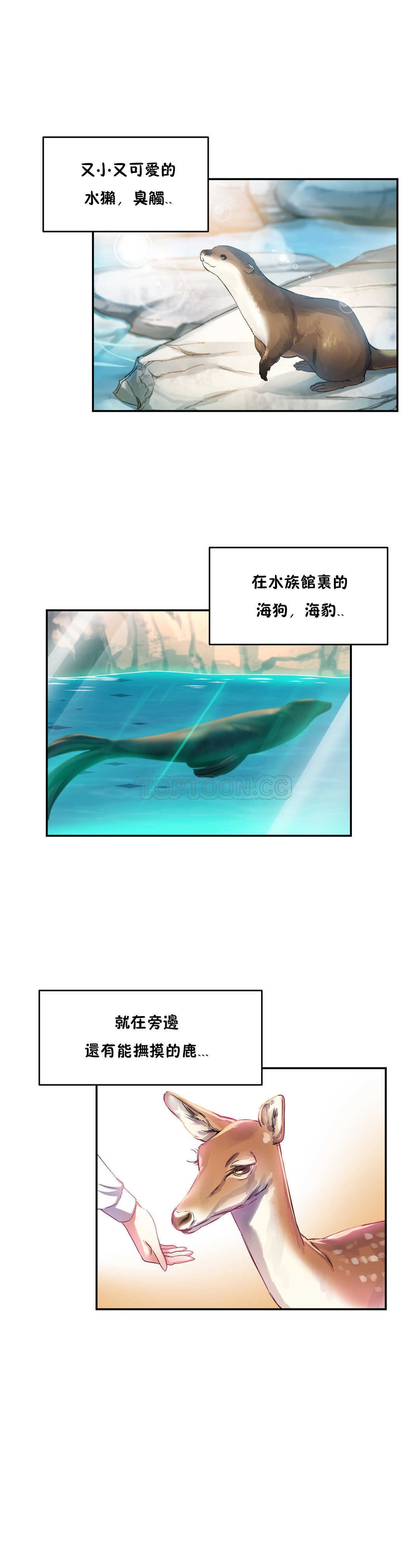 初恋豚鼠