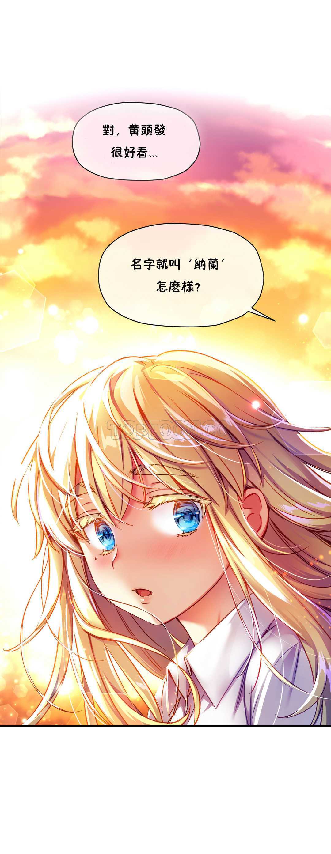 初恋豚鼠