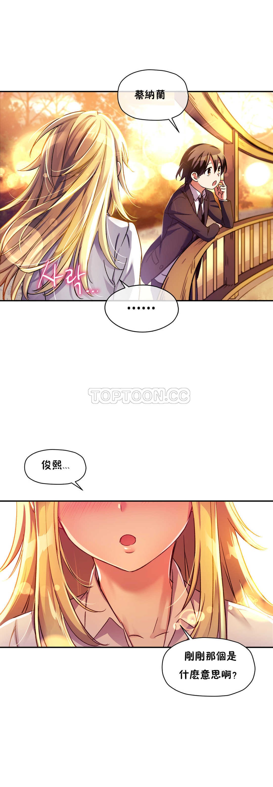 初恋豚鼠