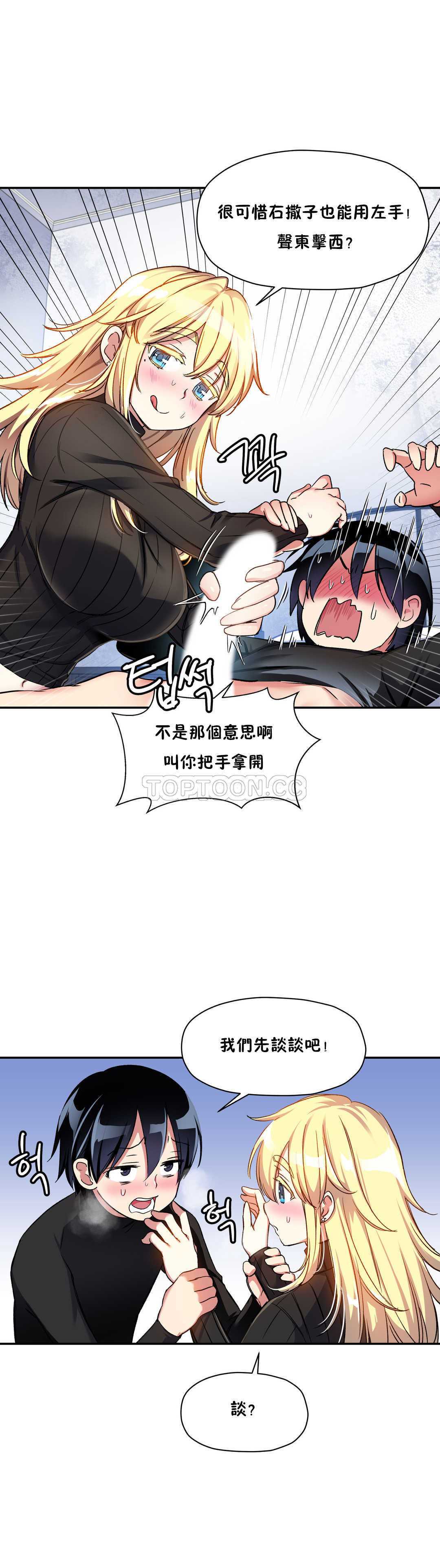初恋豚鼠