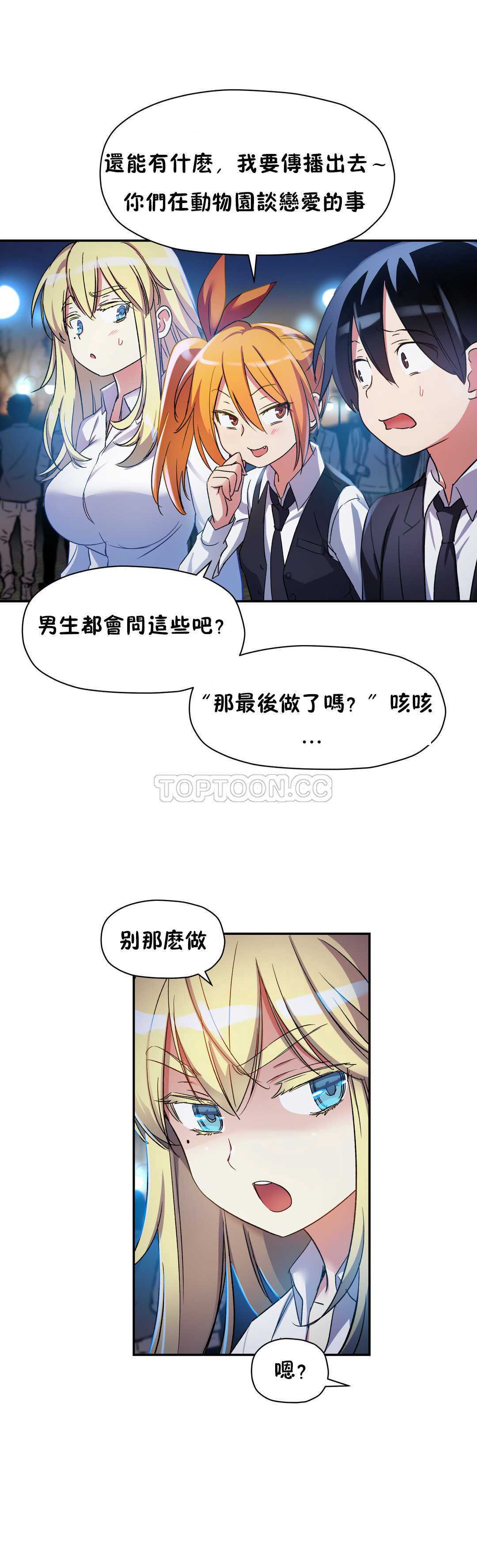 初恋豚鼠