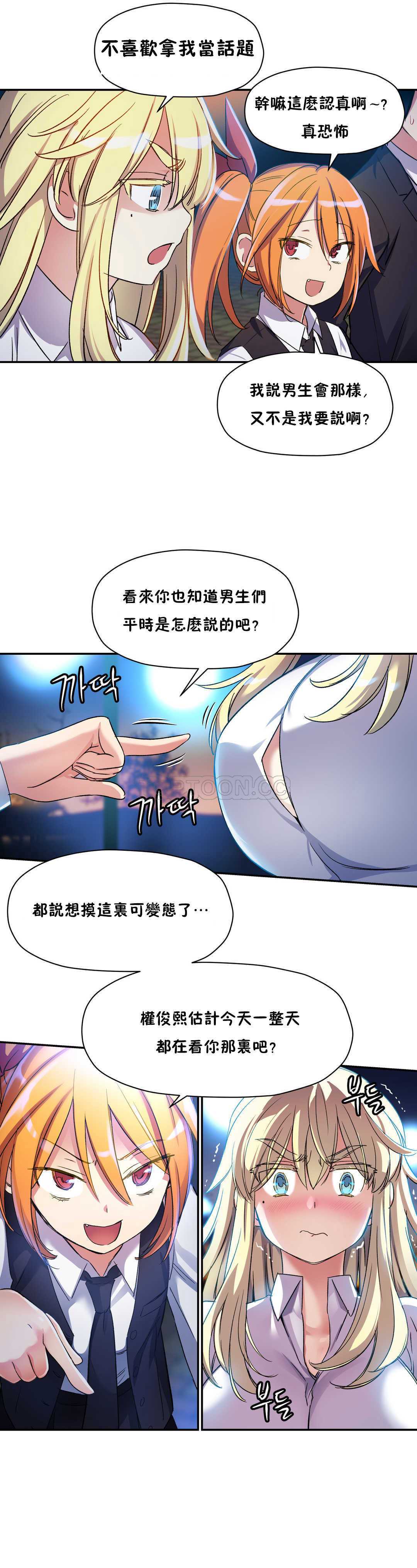 初恋豚鼠