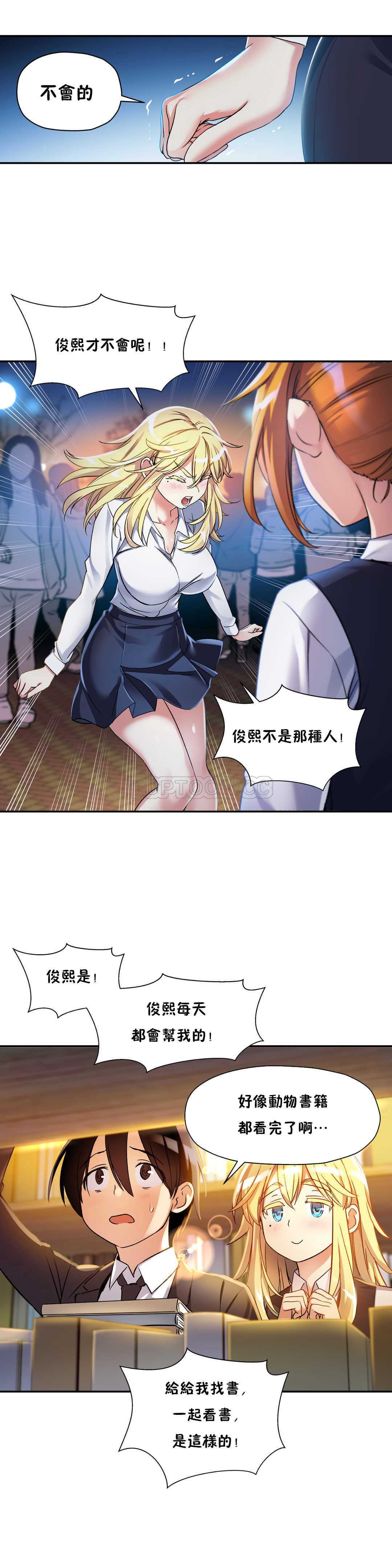 初恋豚鼠