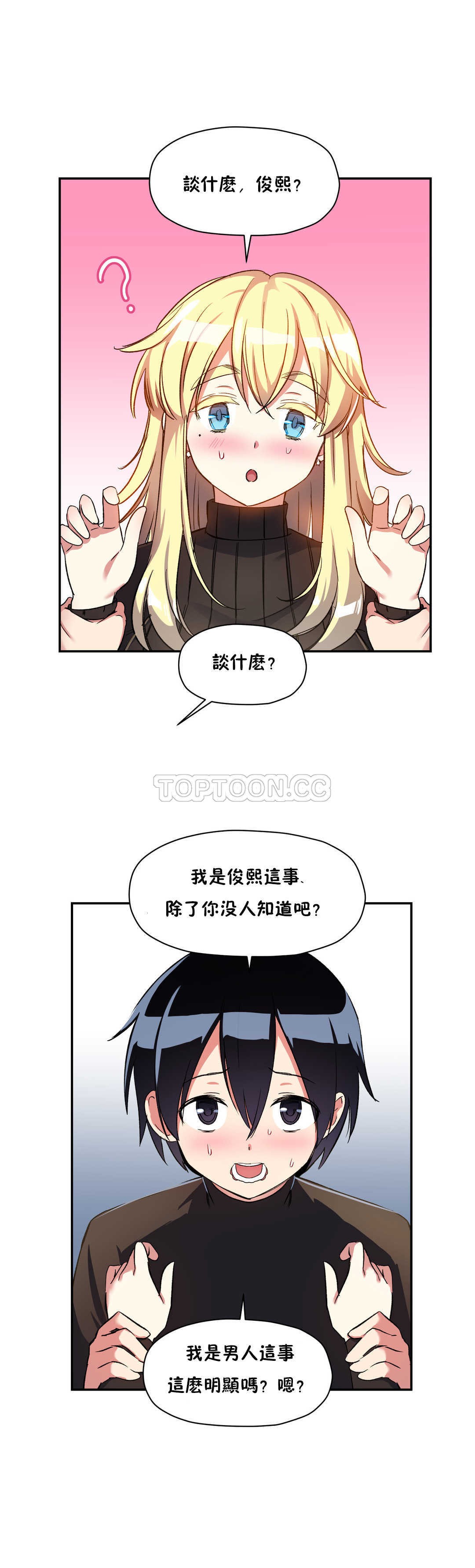 初恋豚鼠