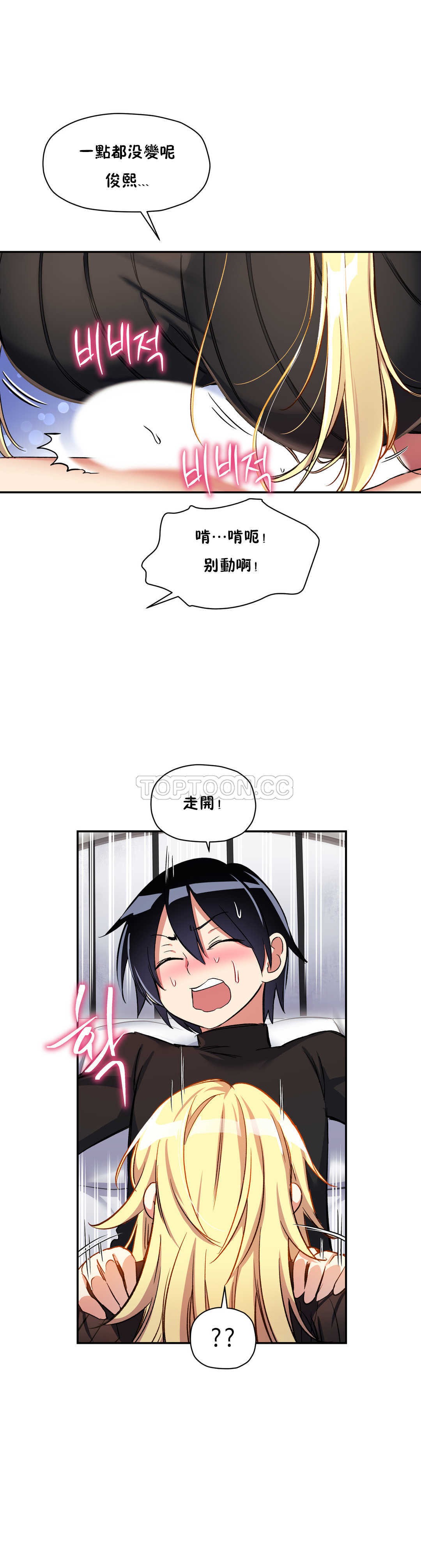 初恋豚鼠