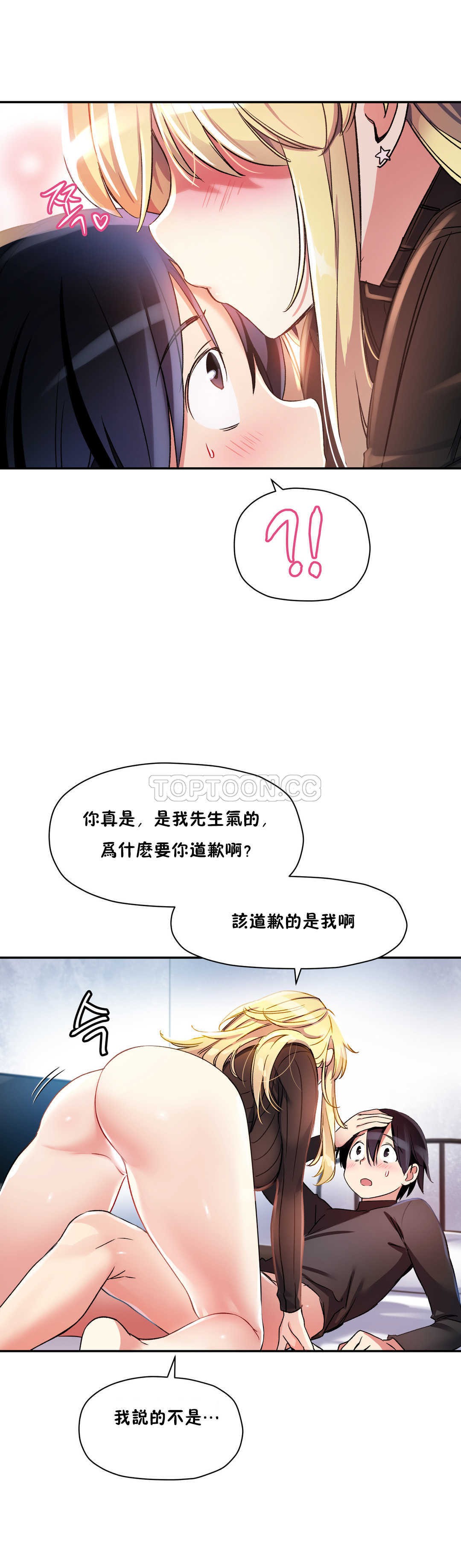 初恋豚鼠