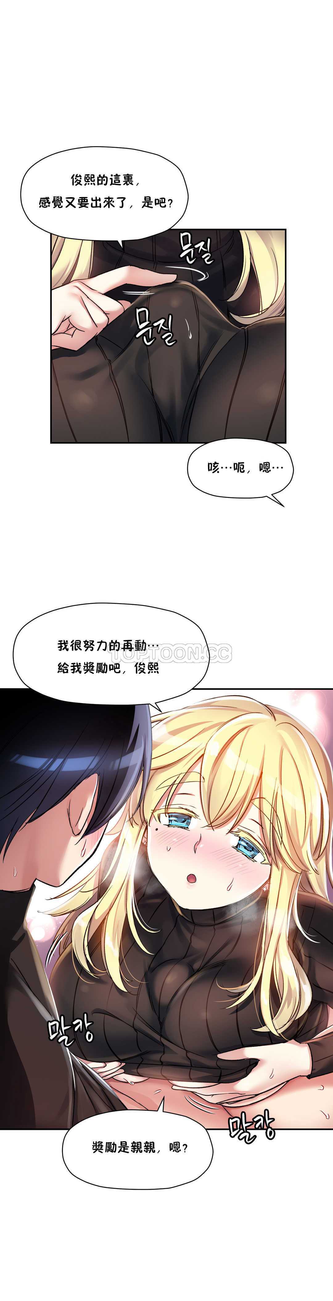 初恋豚鼠