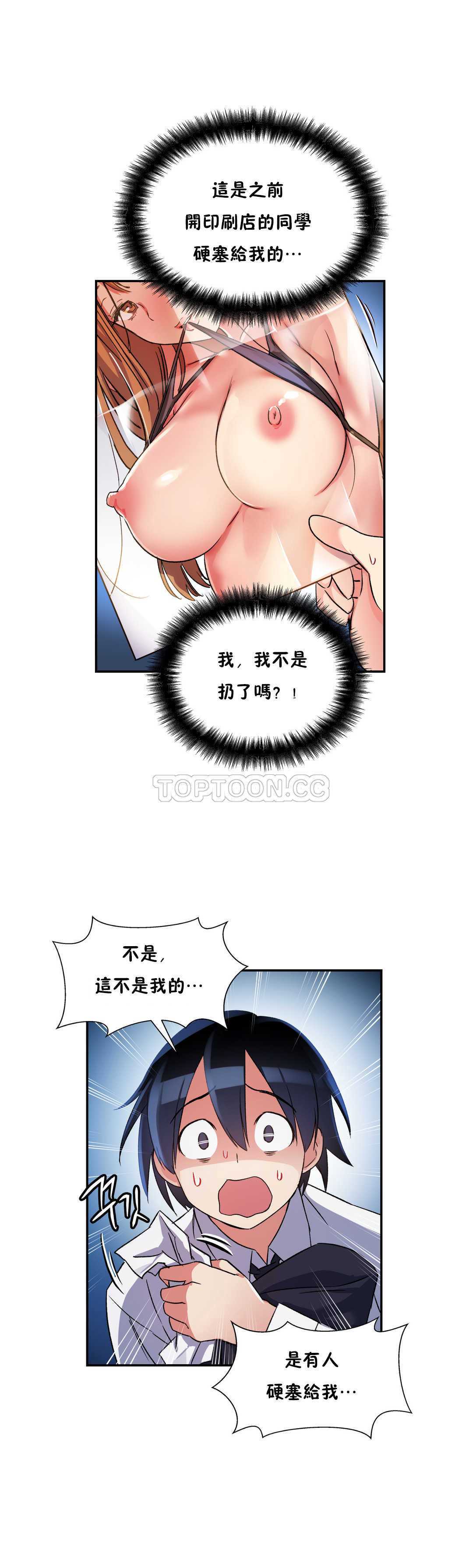 初恋豚鼠