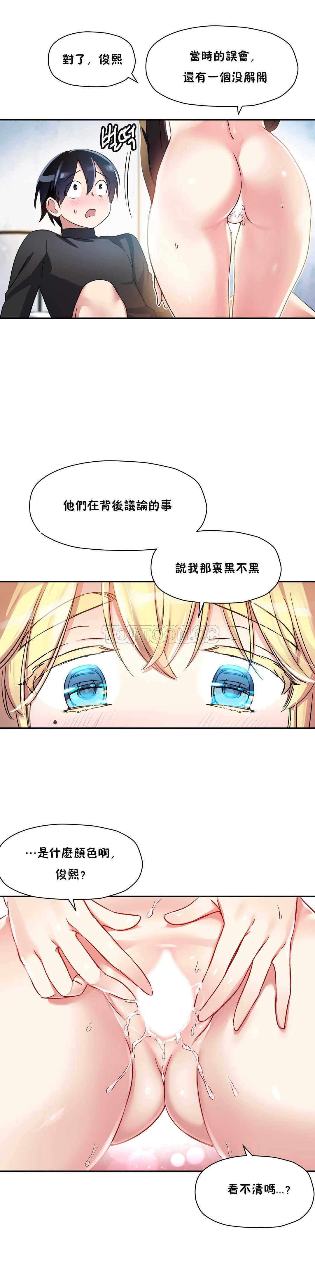 初恋豚鼠