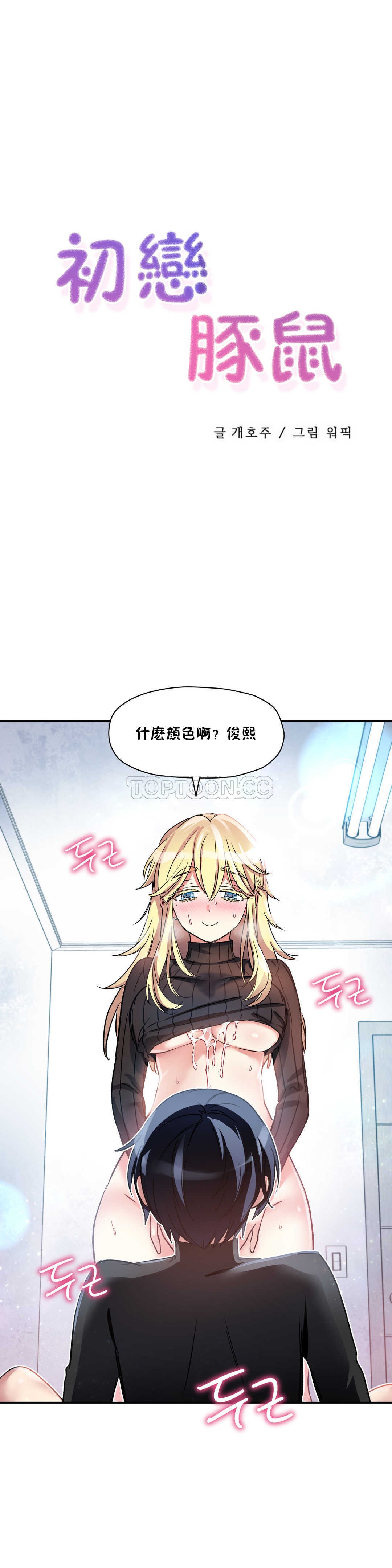初恋豚鼠