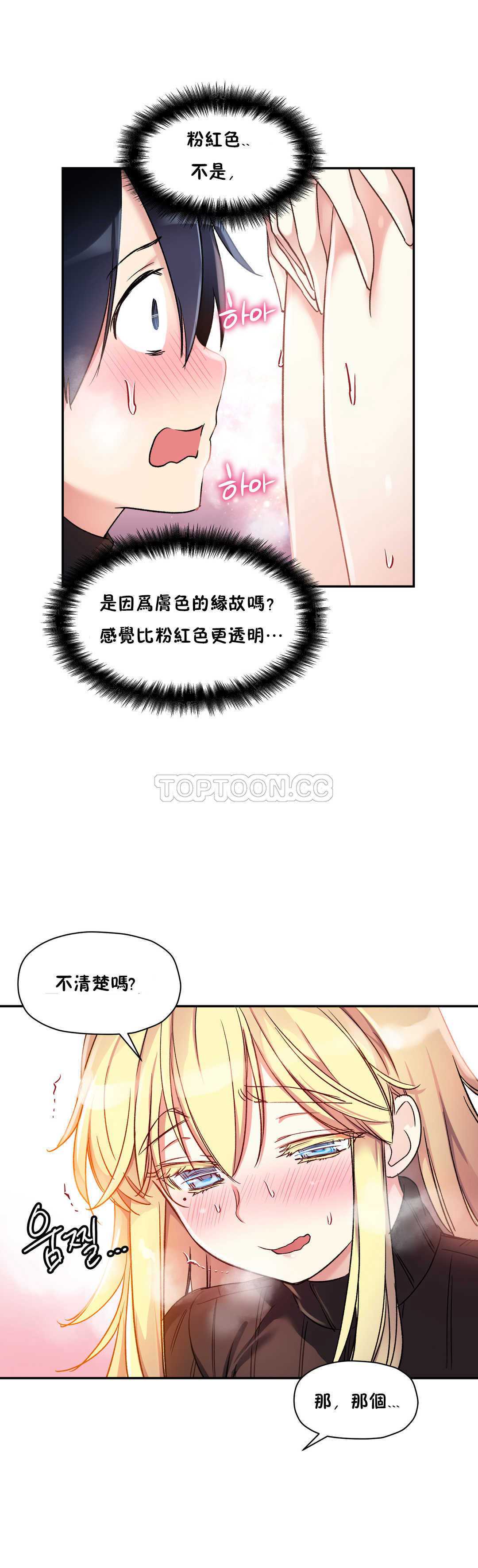 初恋豚鼠