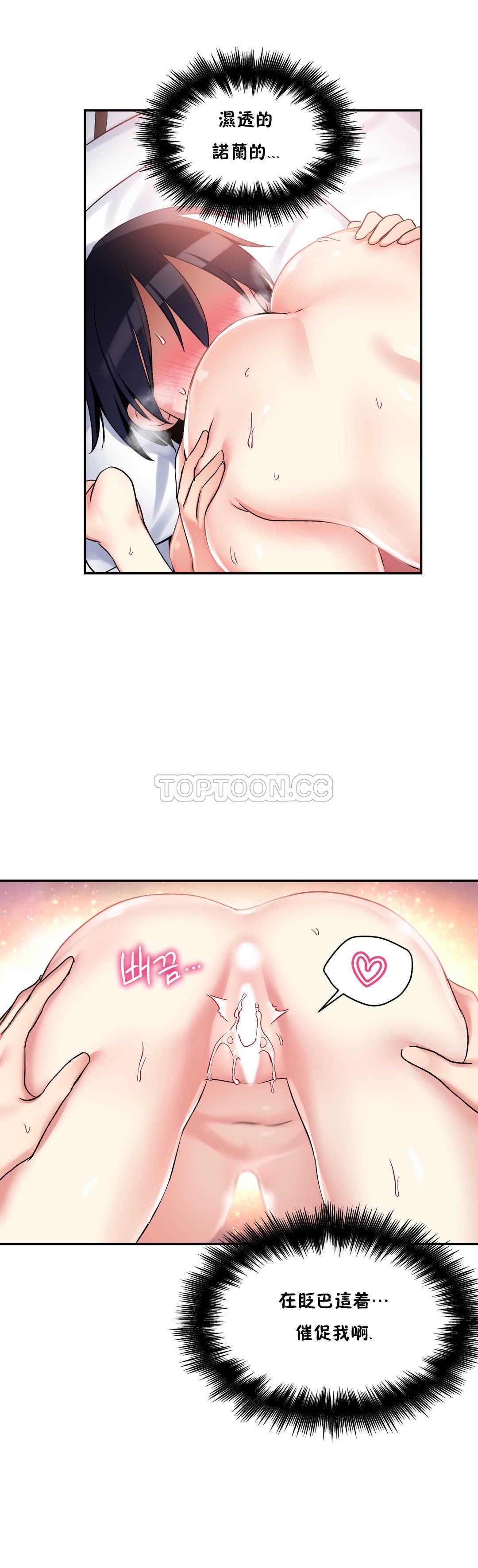 初恋豚鼠
