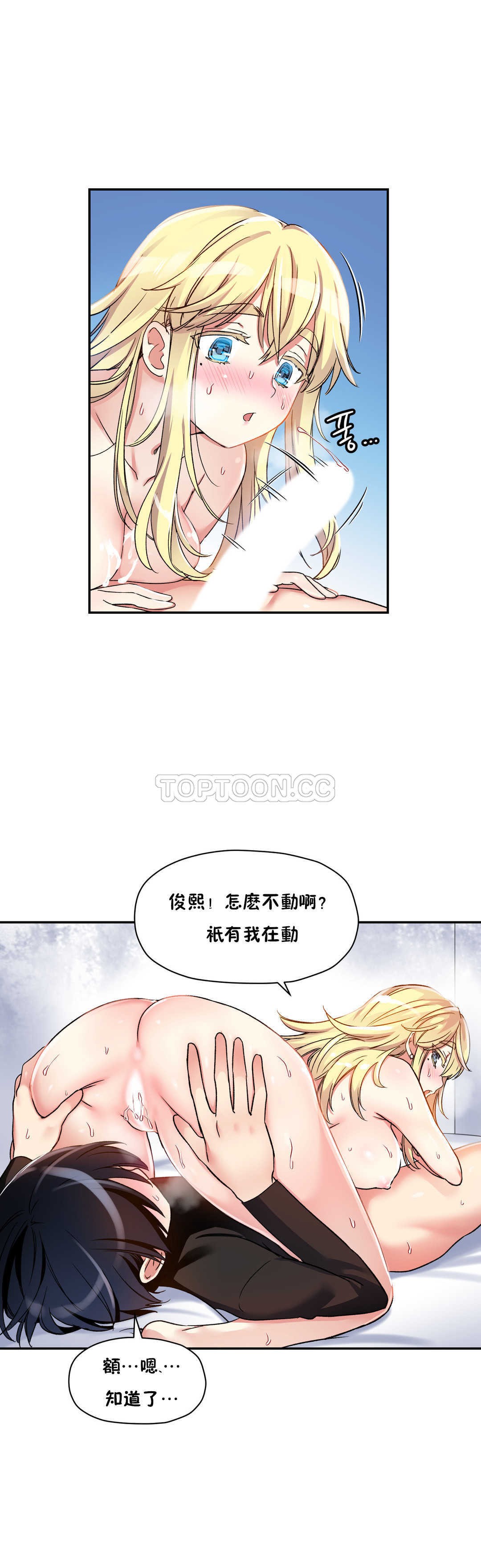 初恋豚鼠