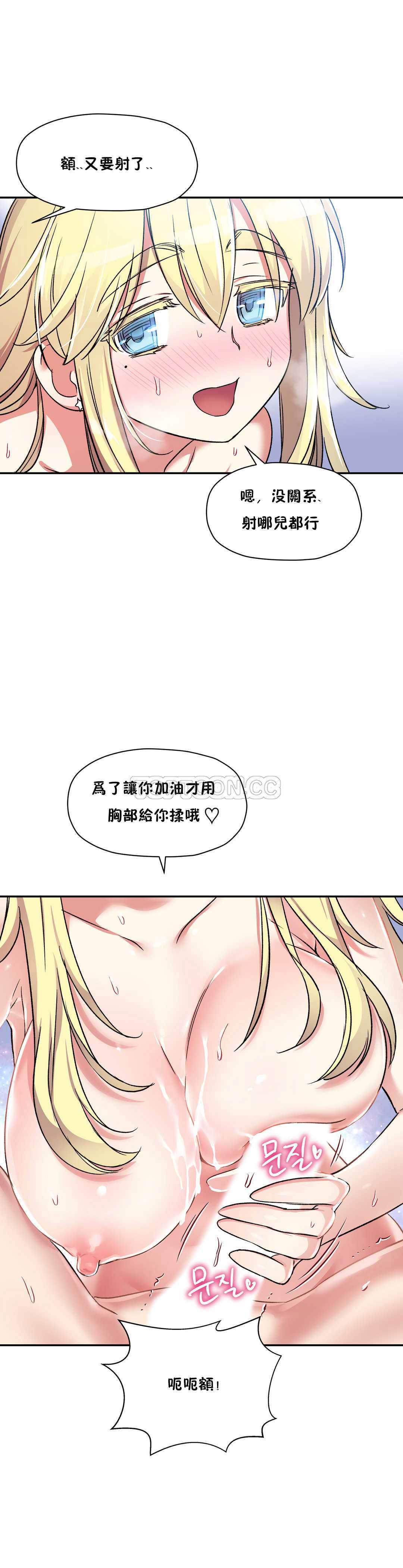 初恋豚鼠