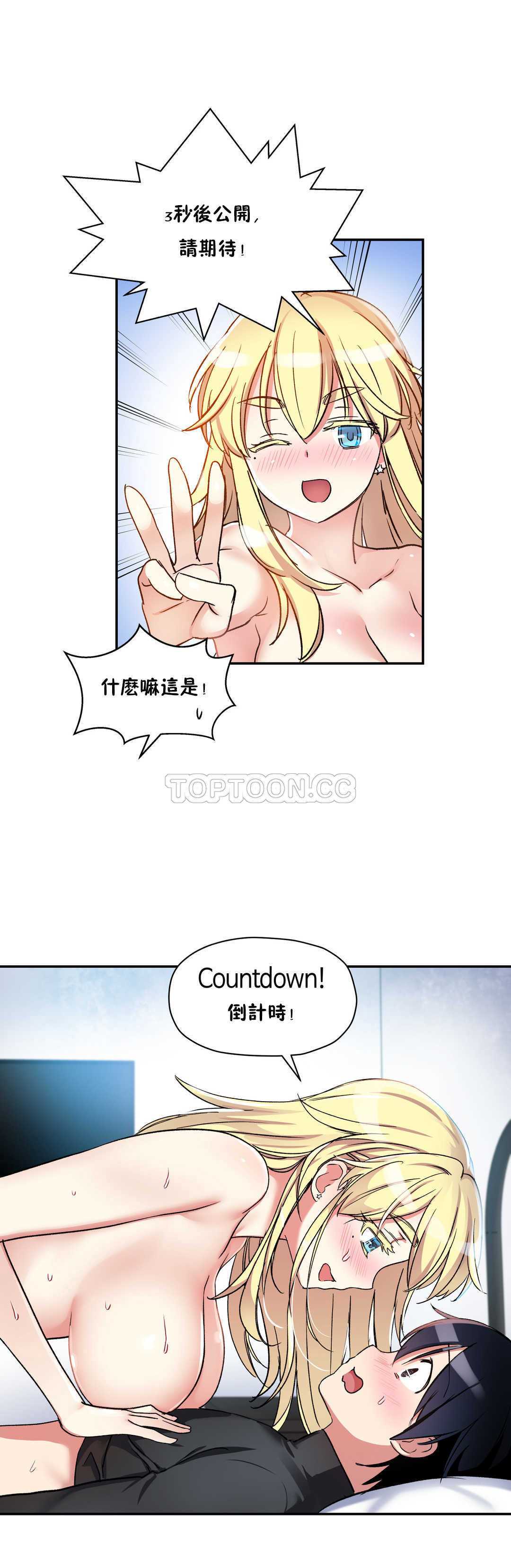 初恋豚鼠