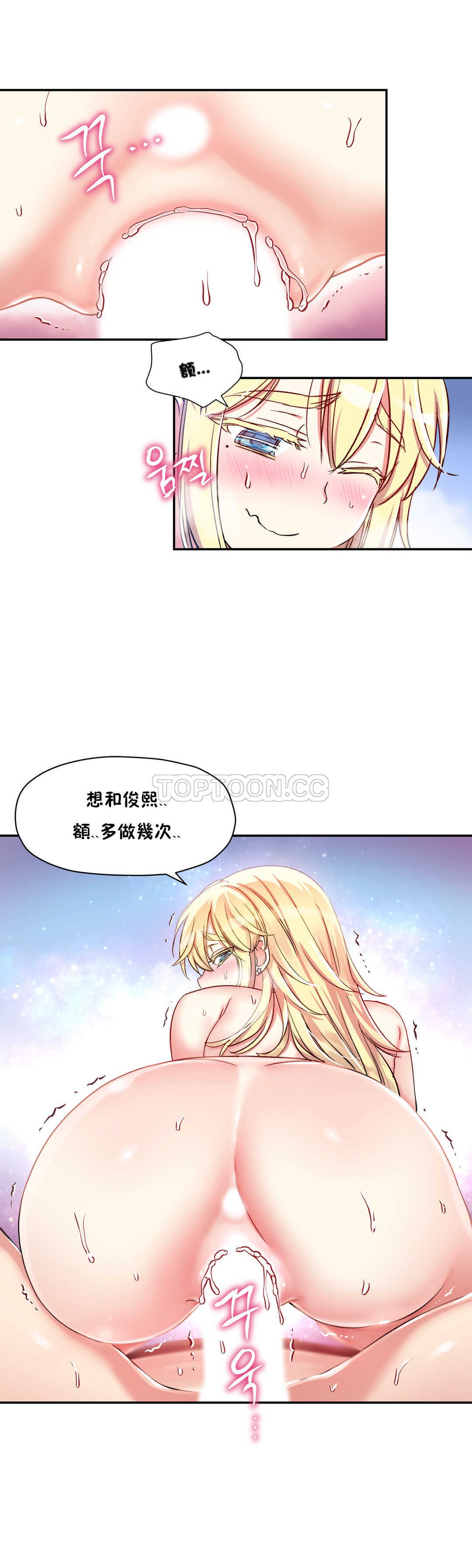 初恋豚鼠