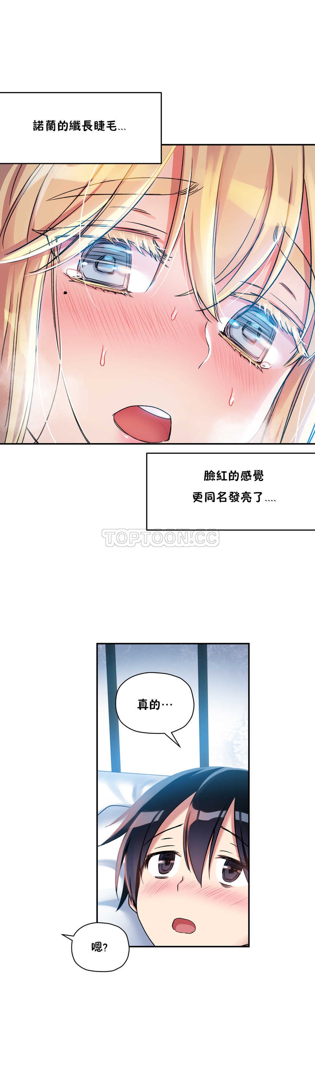 初恋豚鼠