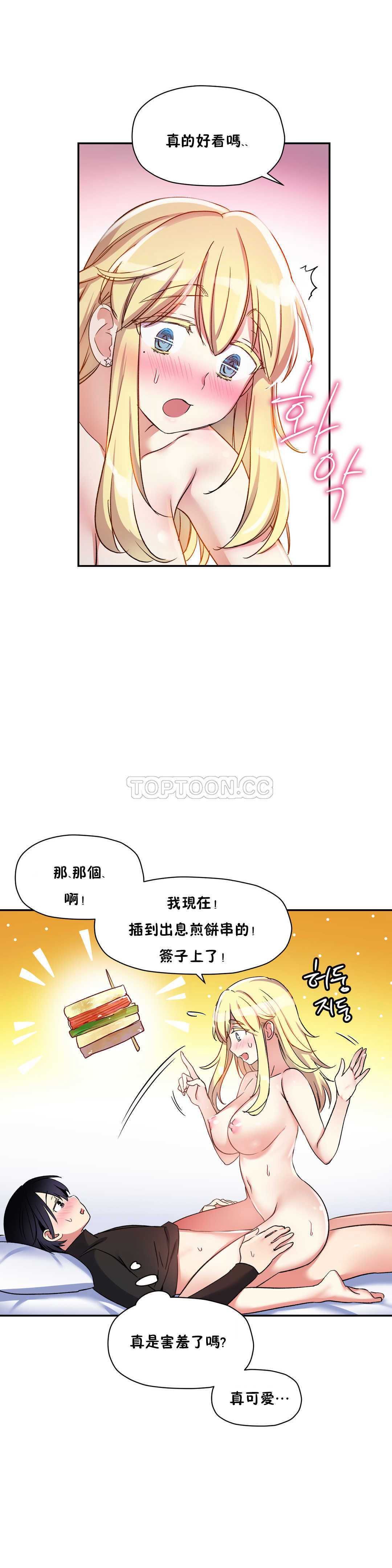 初恋豚鼠