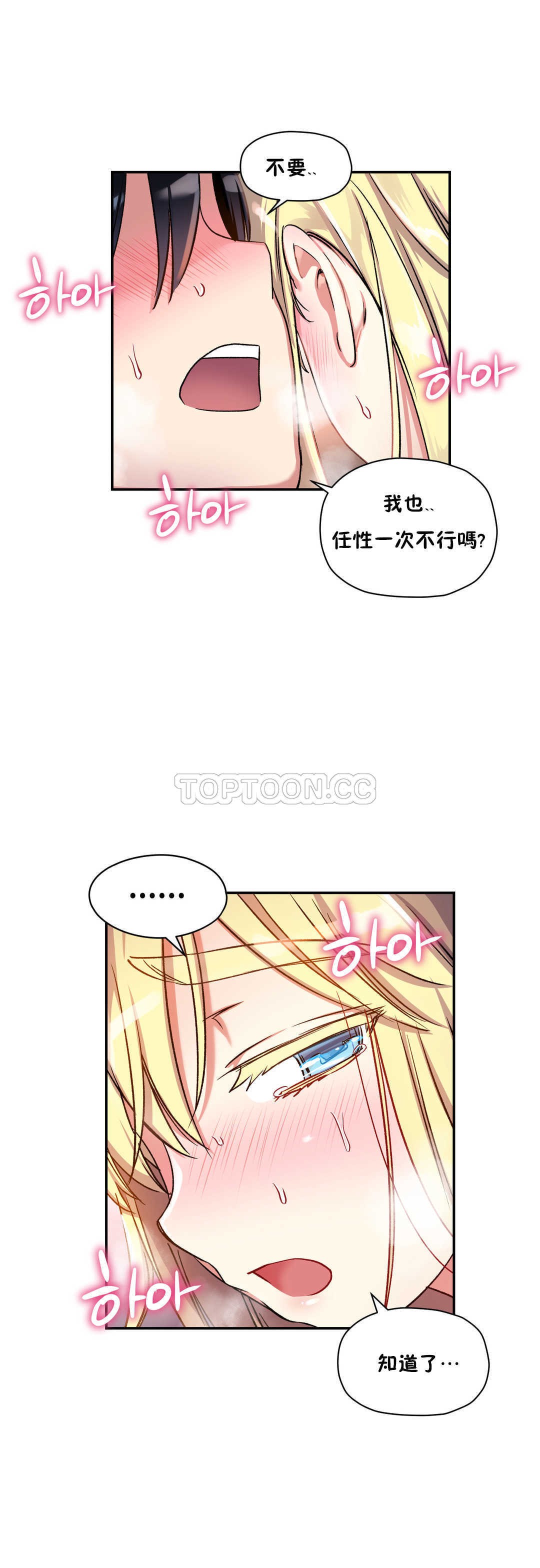 初恋豚鼠