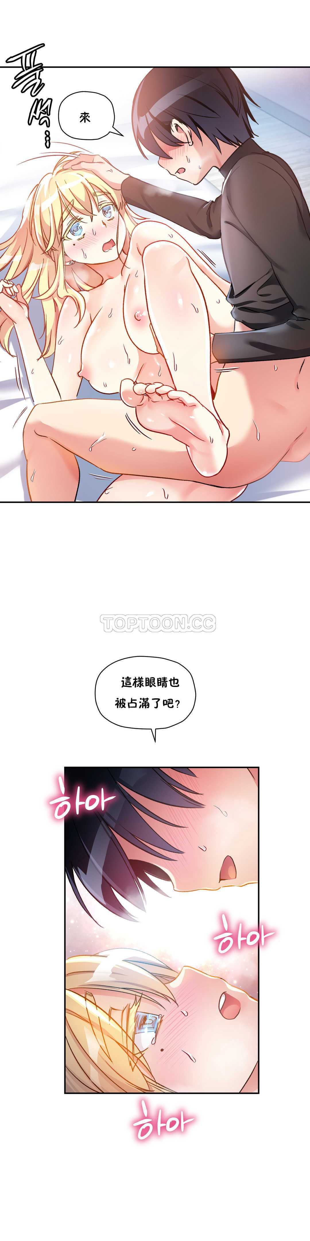 初恋豚鼠