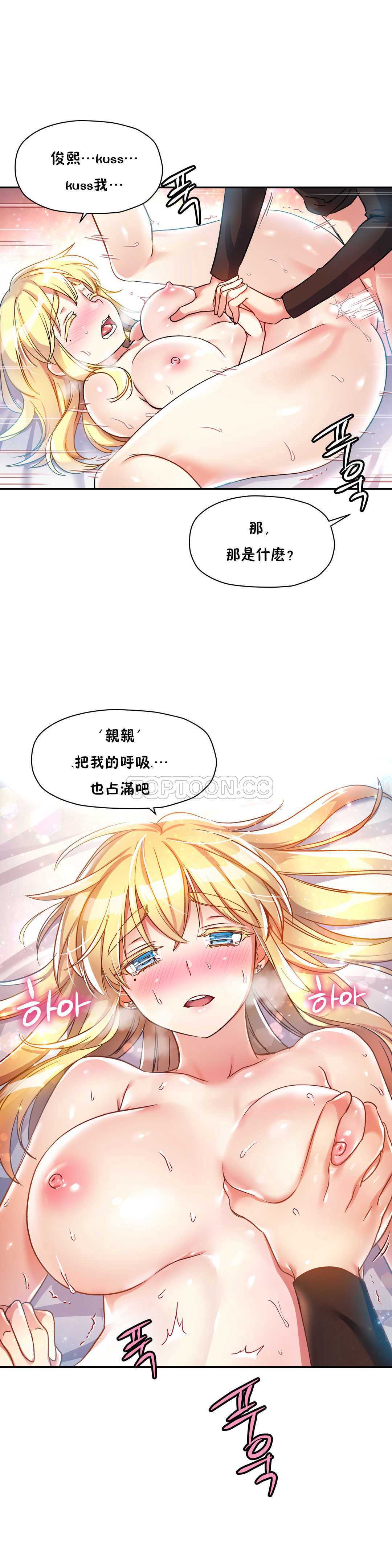 初恋豚鼠