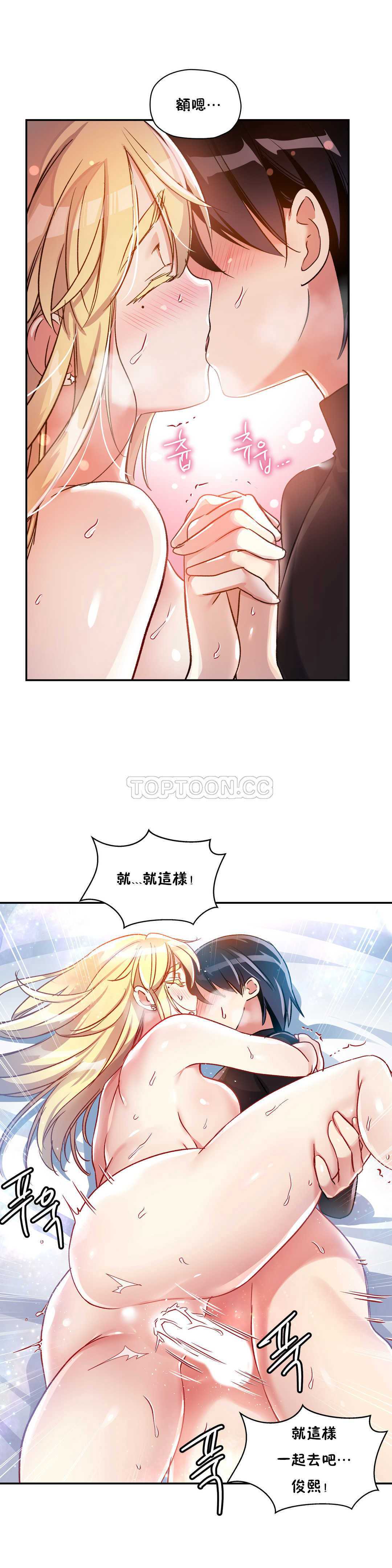 初恋豚鼠