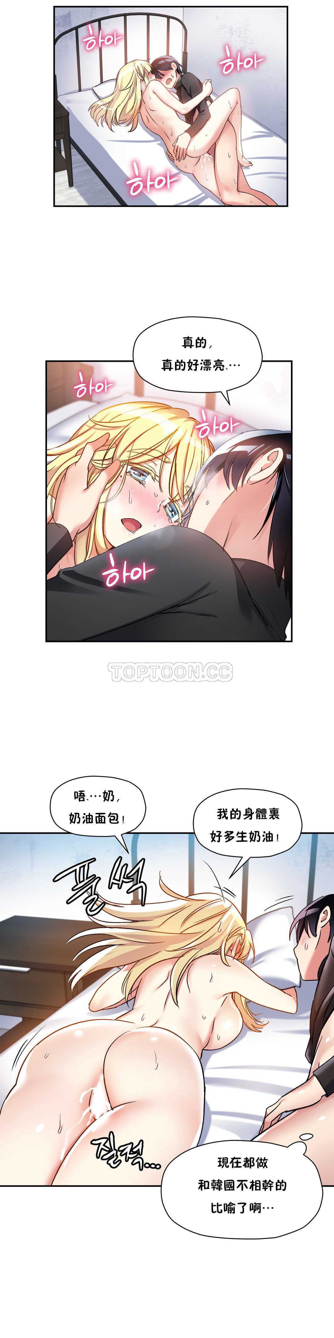 初恋豚鼠