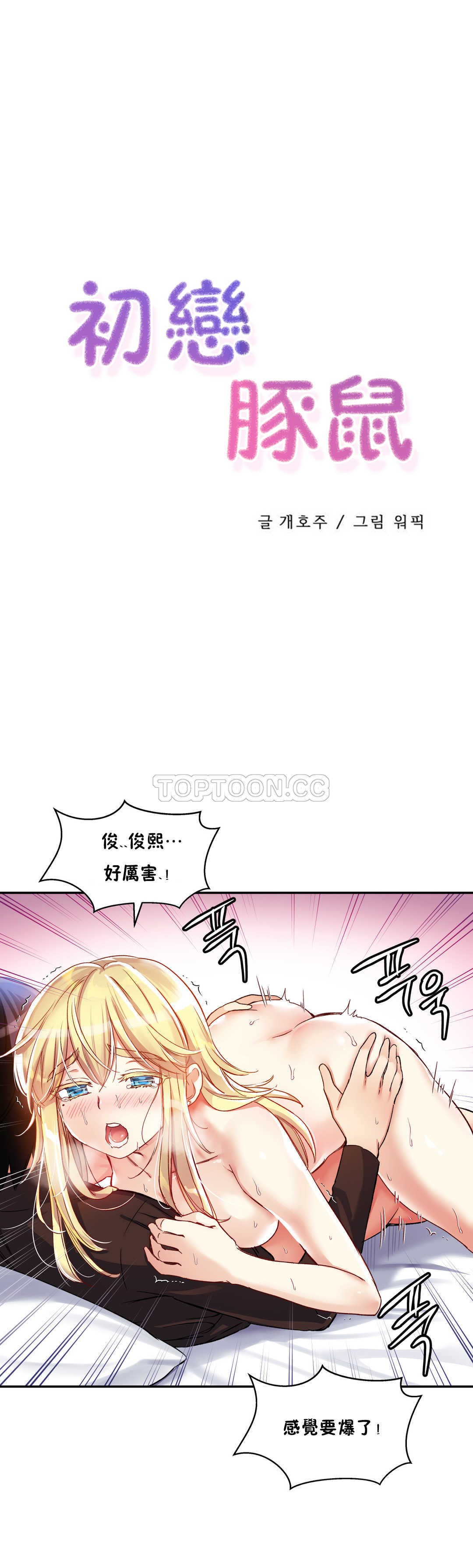 初恋豚鼠