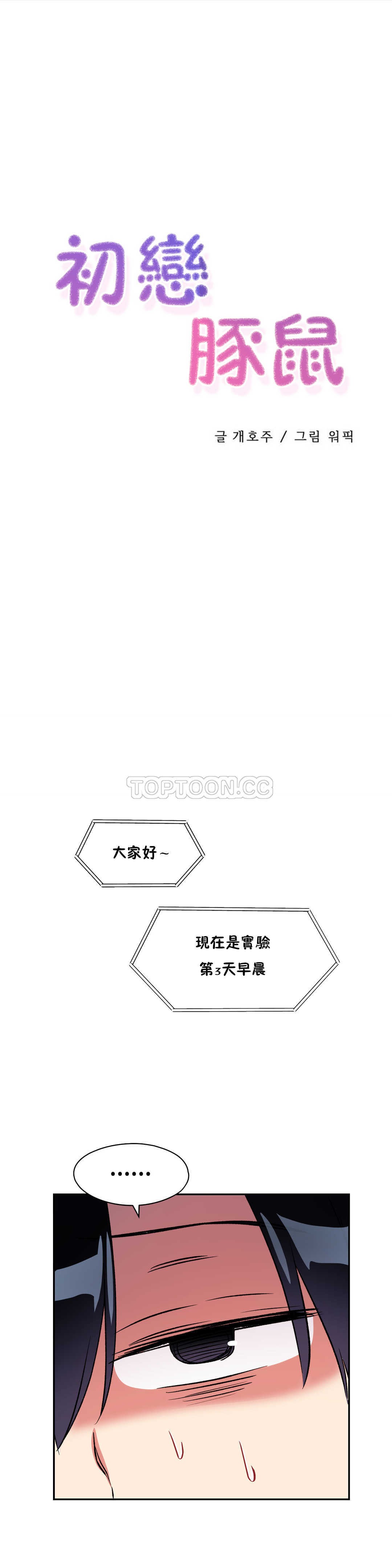 初恋豚鼠