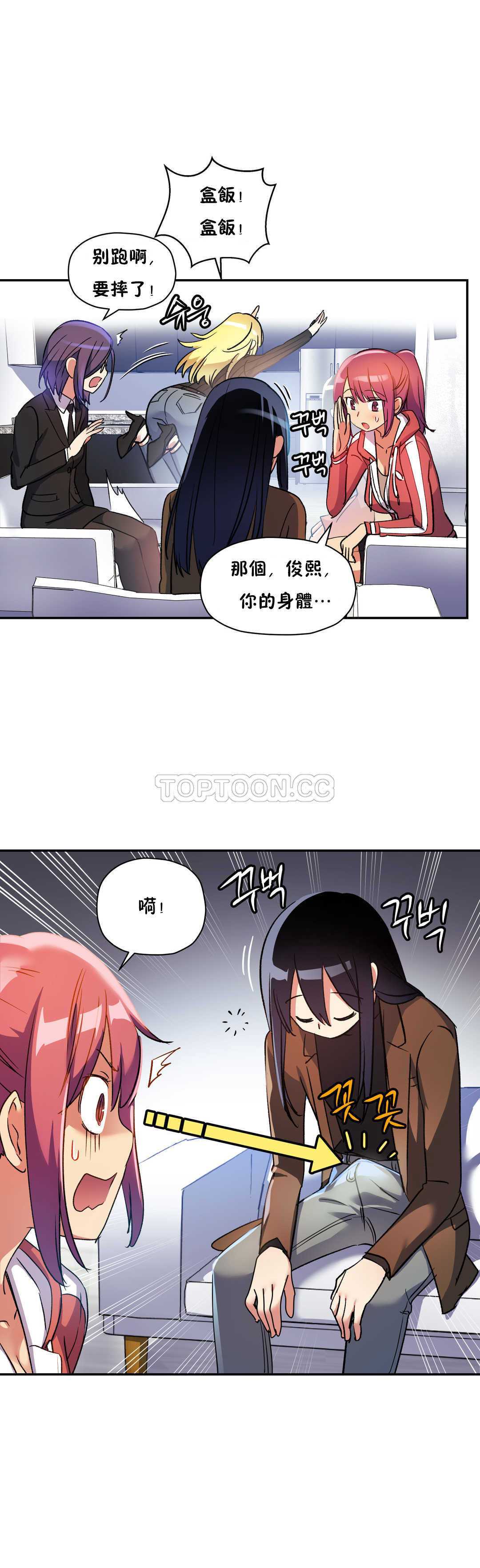 初恋豚鼠