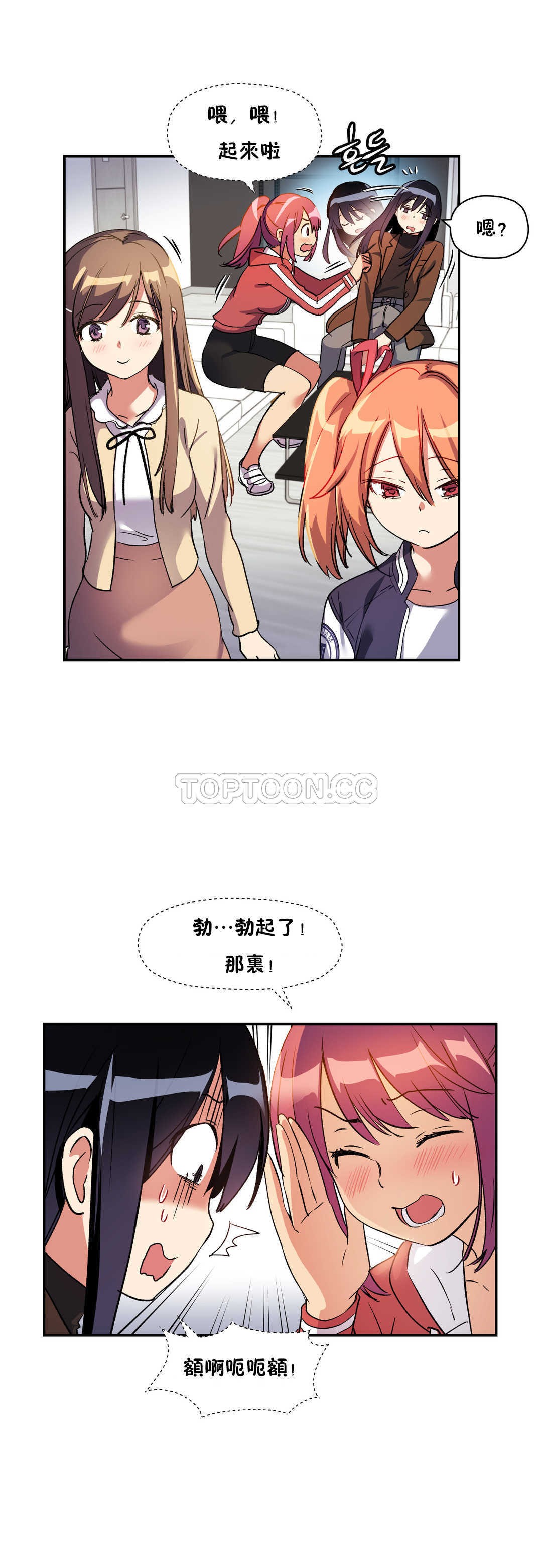 初恋豚鼠