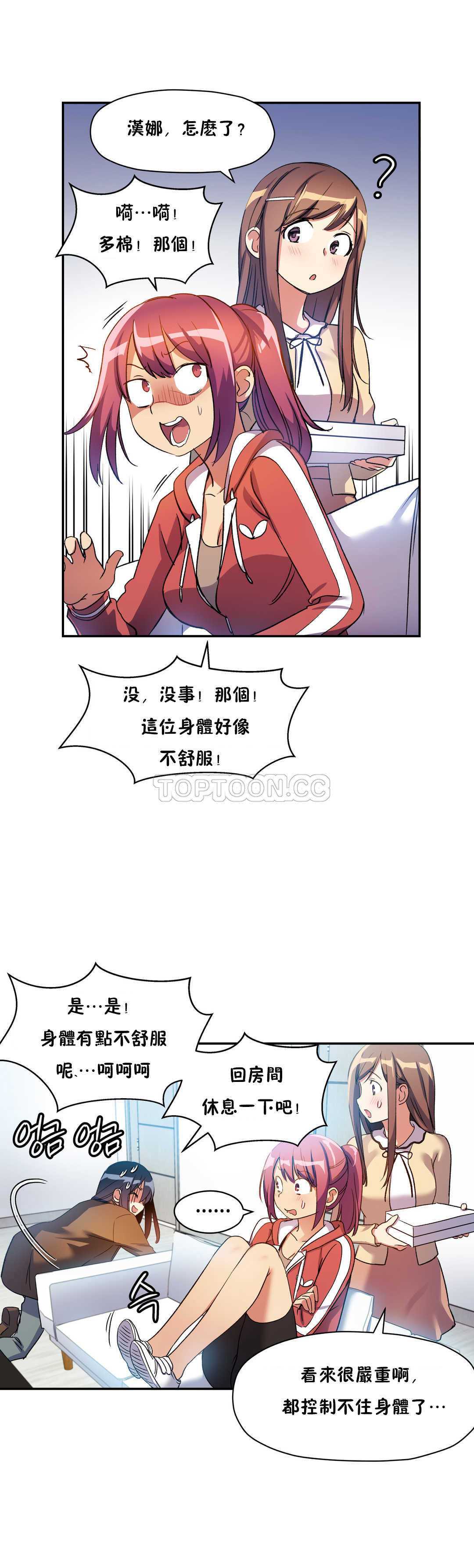 初恋豚鼠