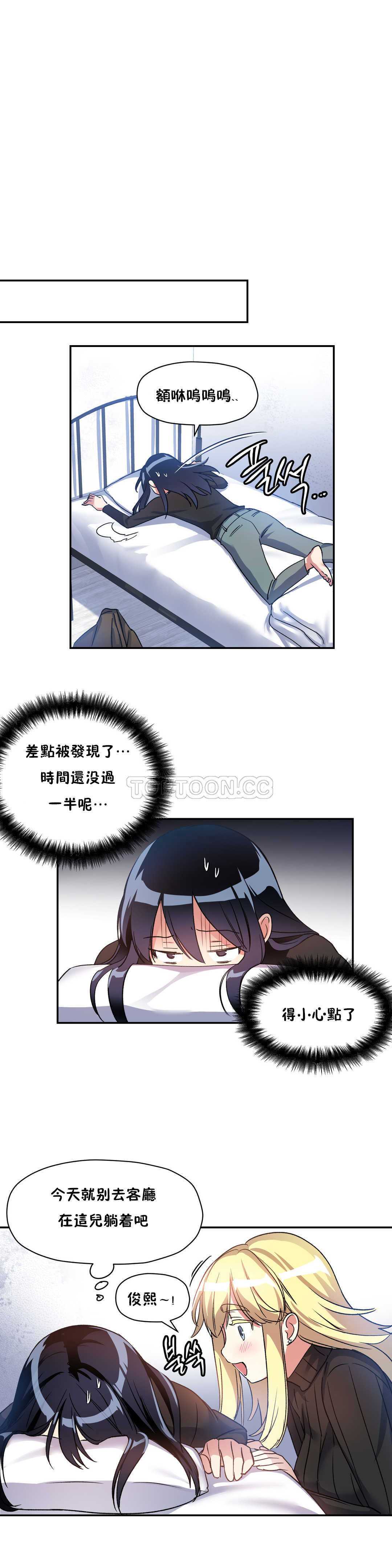 初恋豚鼠