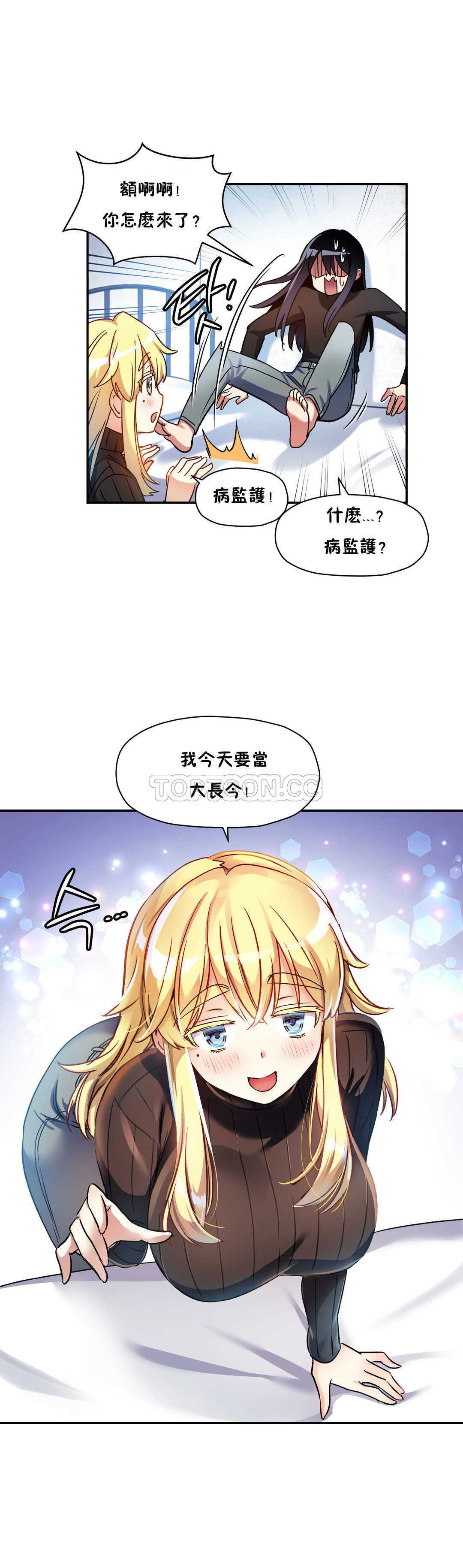 初恋豚鼠