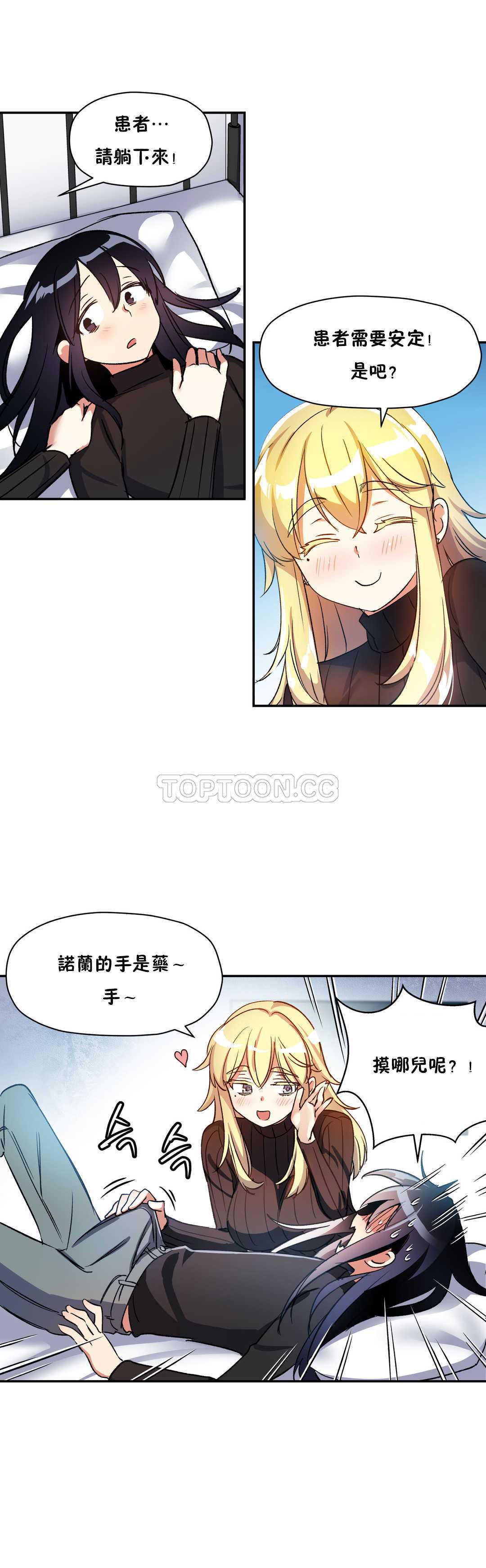 初恋豚鼠