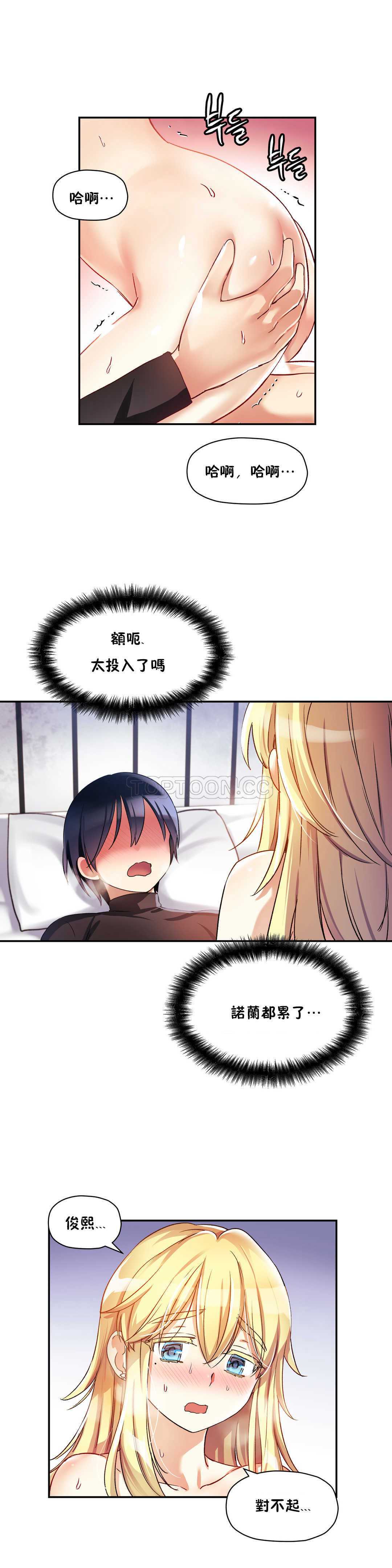 初恋豚鼠