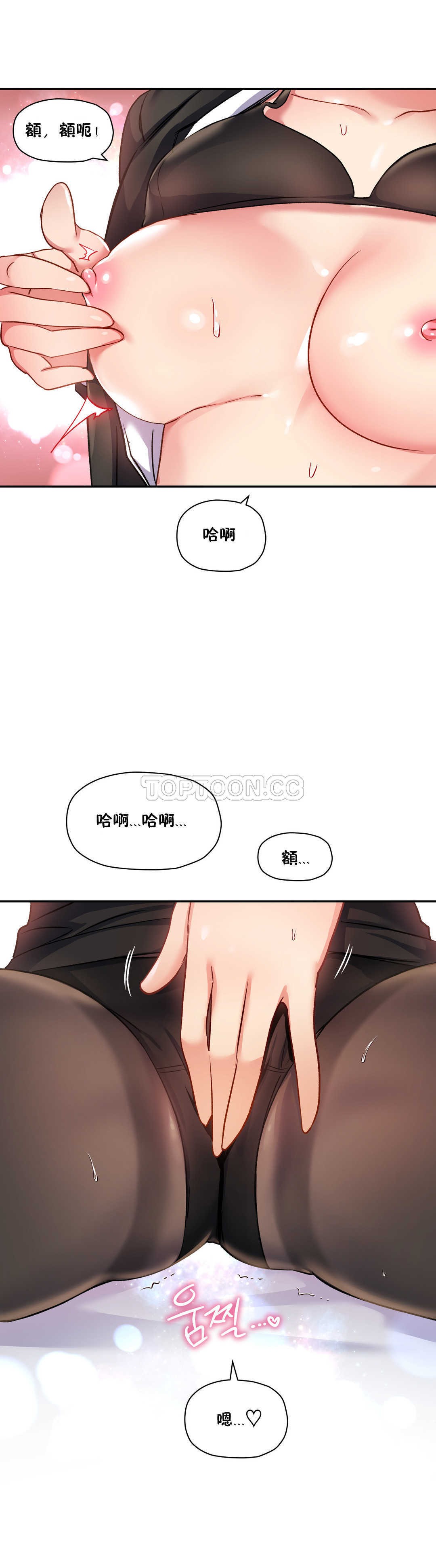 初恋豚鼠