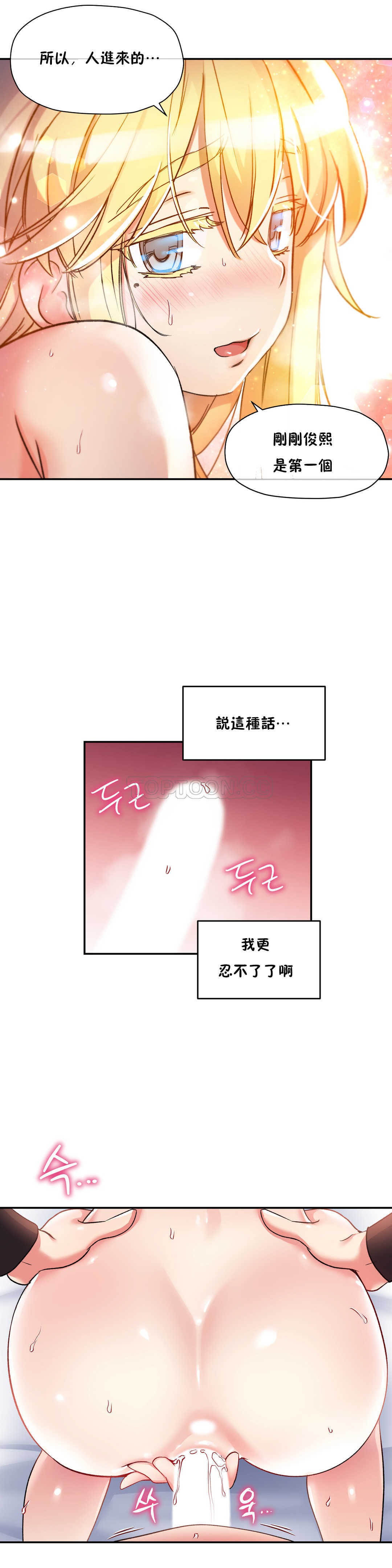 初恋豚鼠