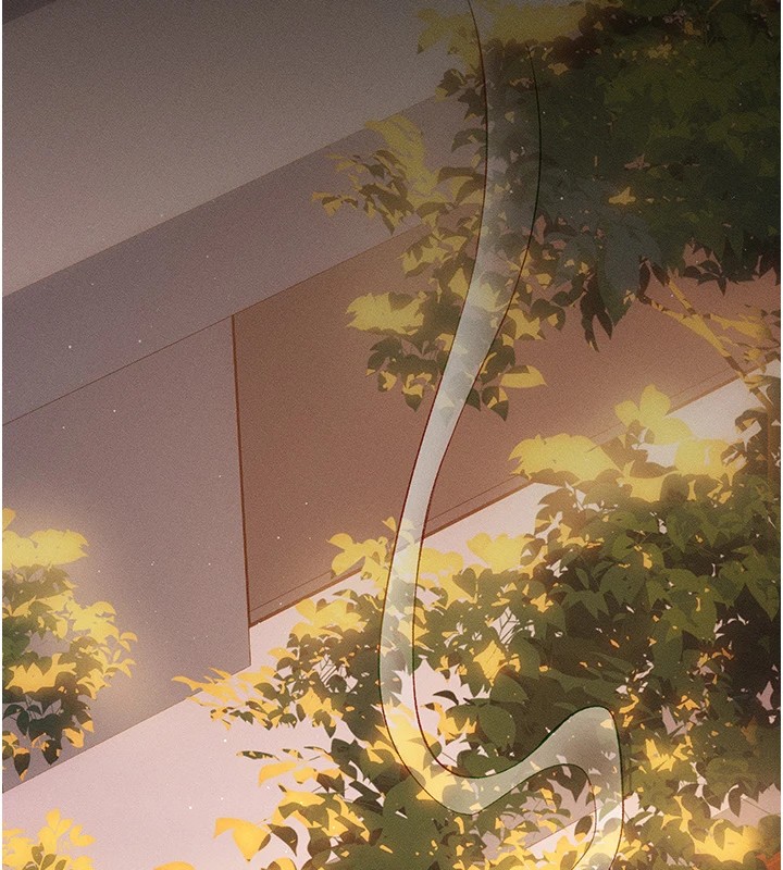 太妹攻略指南