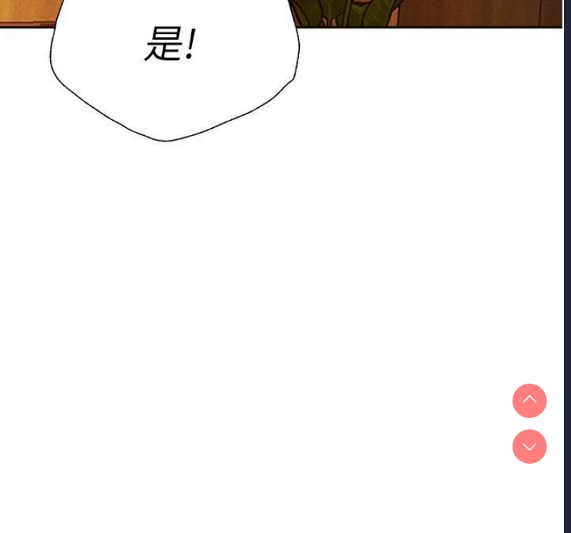 人妻猎人