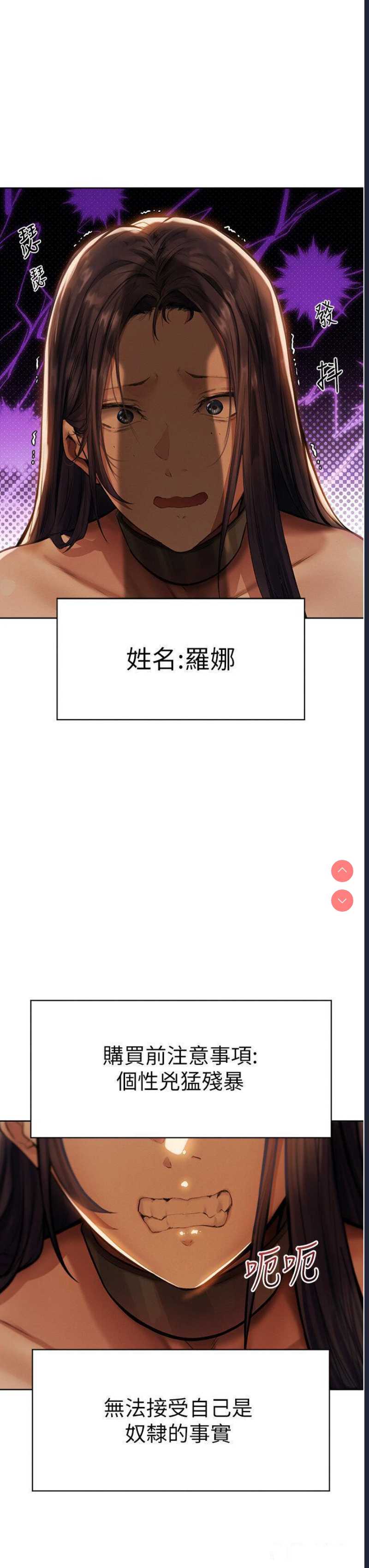 人妻猎人